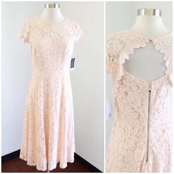 Dorothy Perkins Dresses & Skirts - NWT Dorothy Perkins Blush Peach Lace Dress